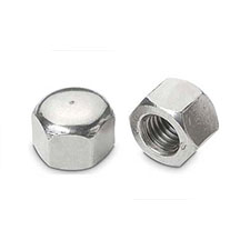 hex cap nuts manufactuerer 1